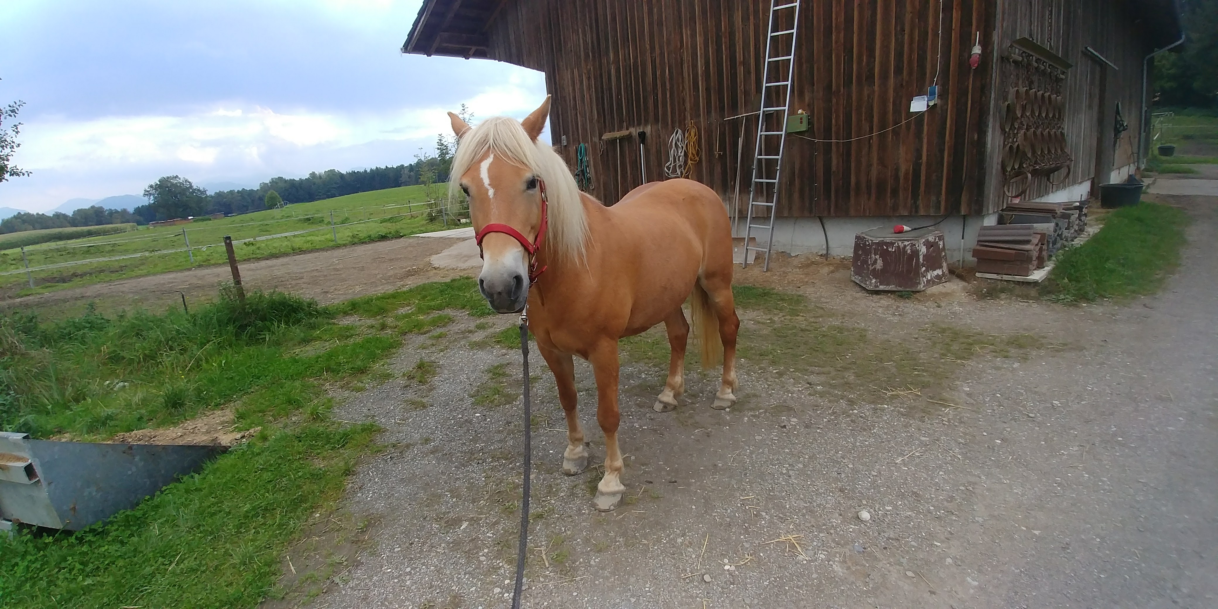 20170924_174958_Burst01