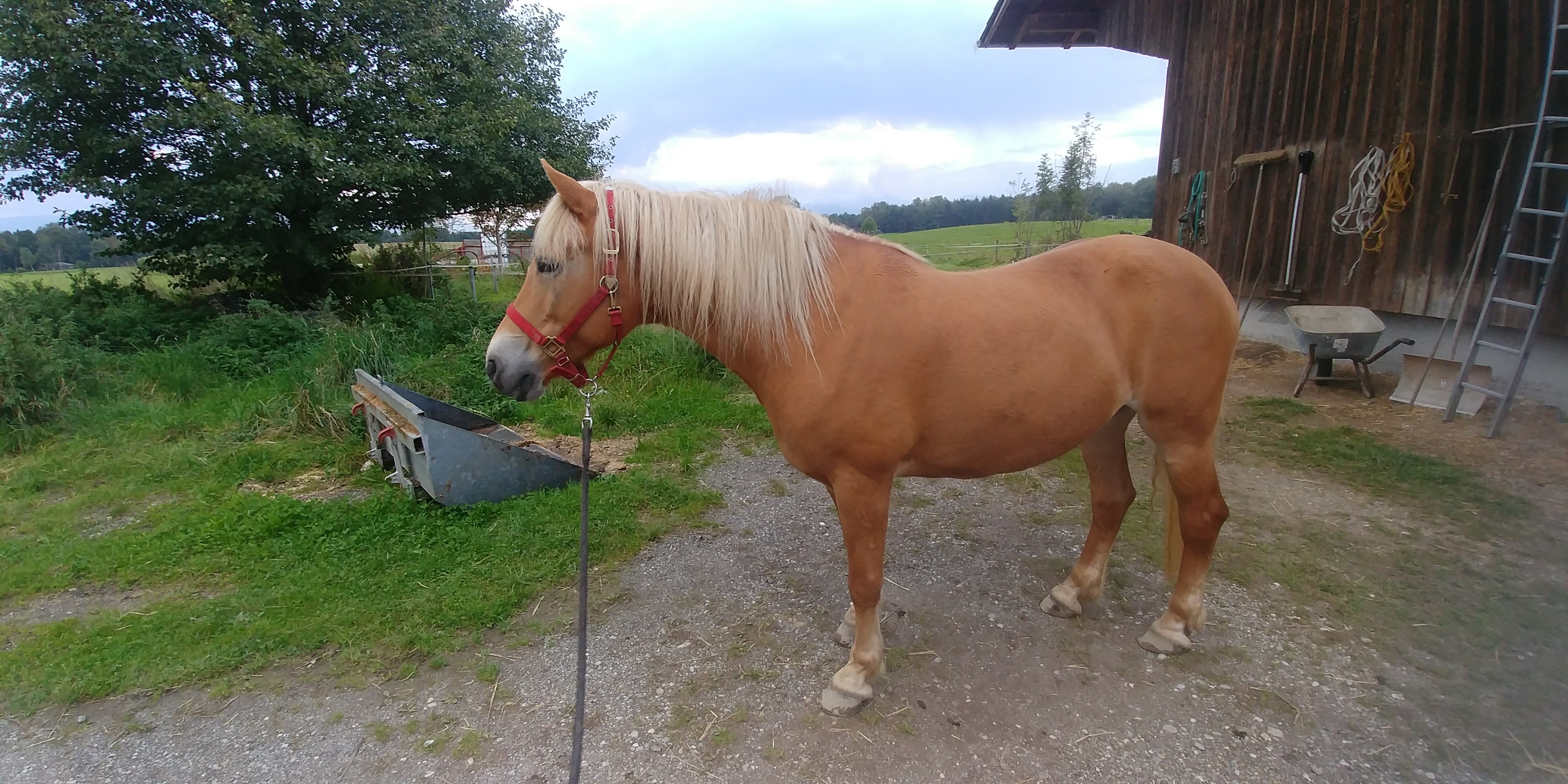 20170924_175006_Burst01