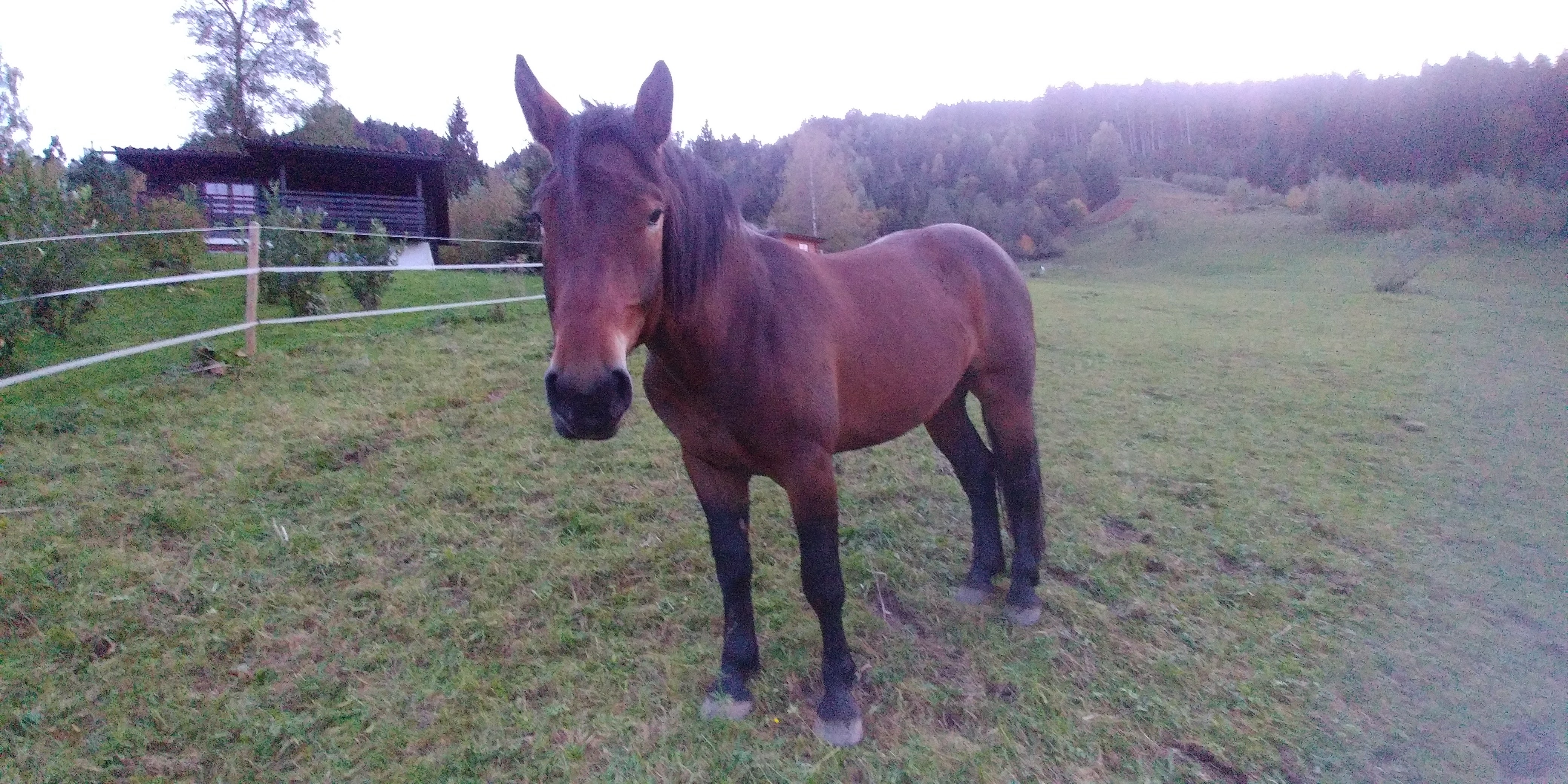 20171004_185231_Burst01