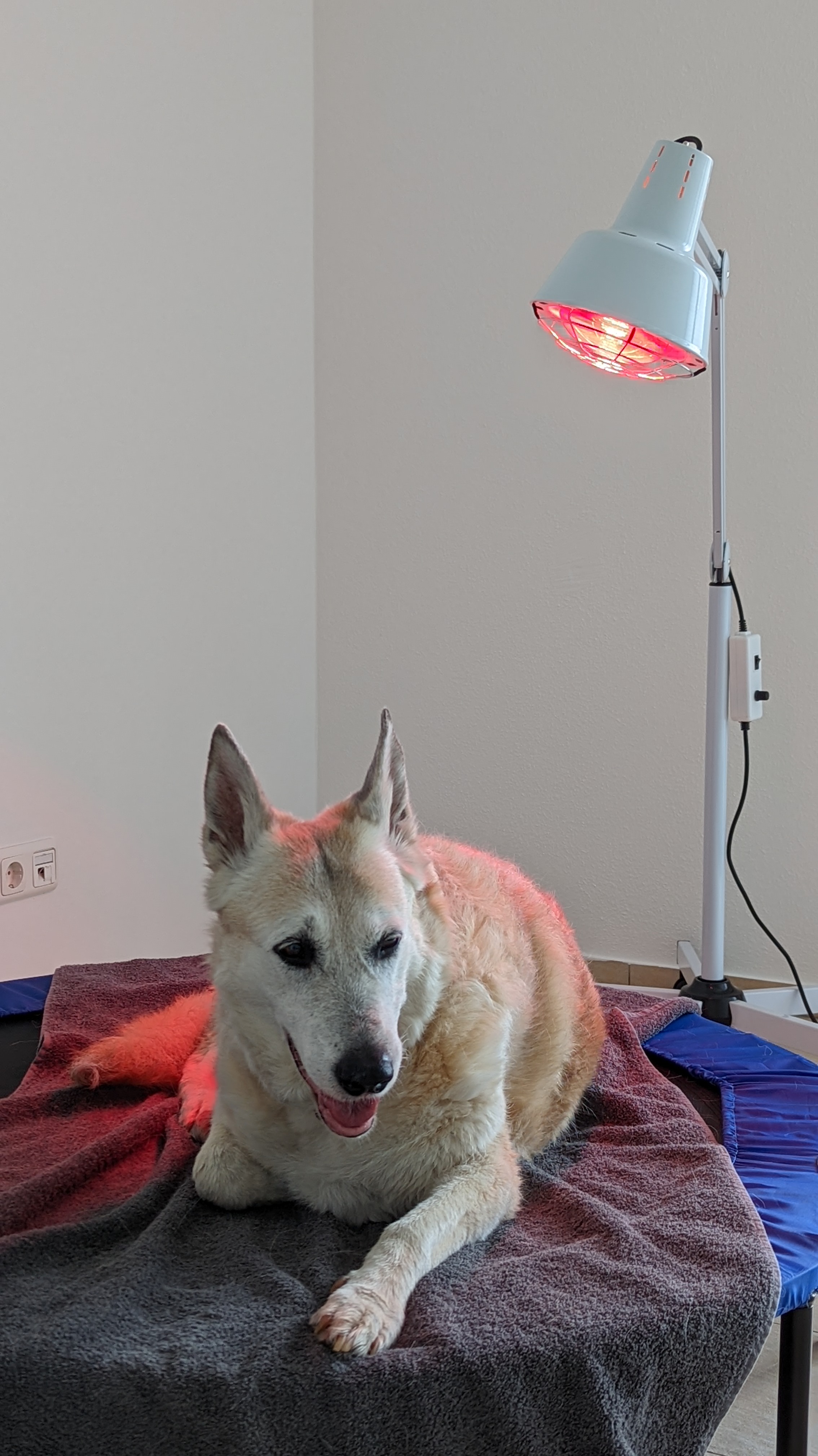 PXL_20220723_150438911