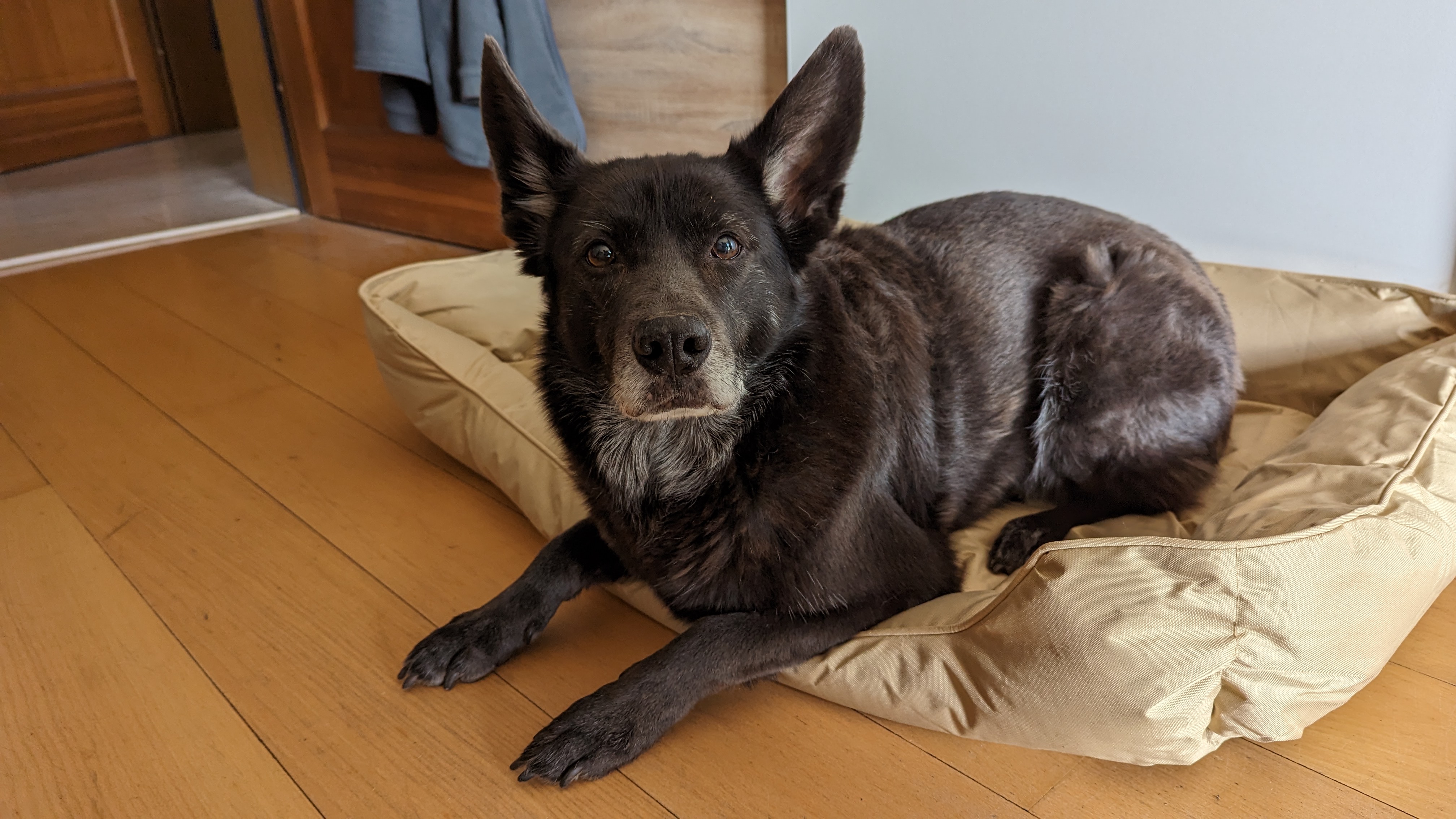 PXL_20230311_130156184