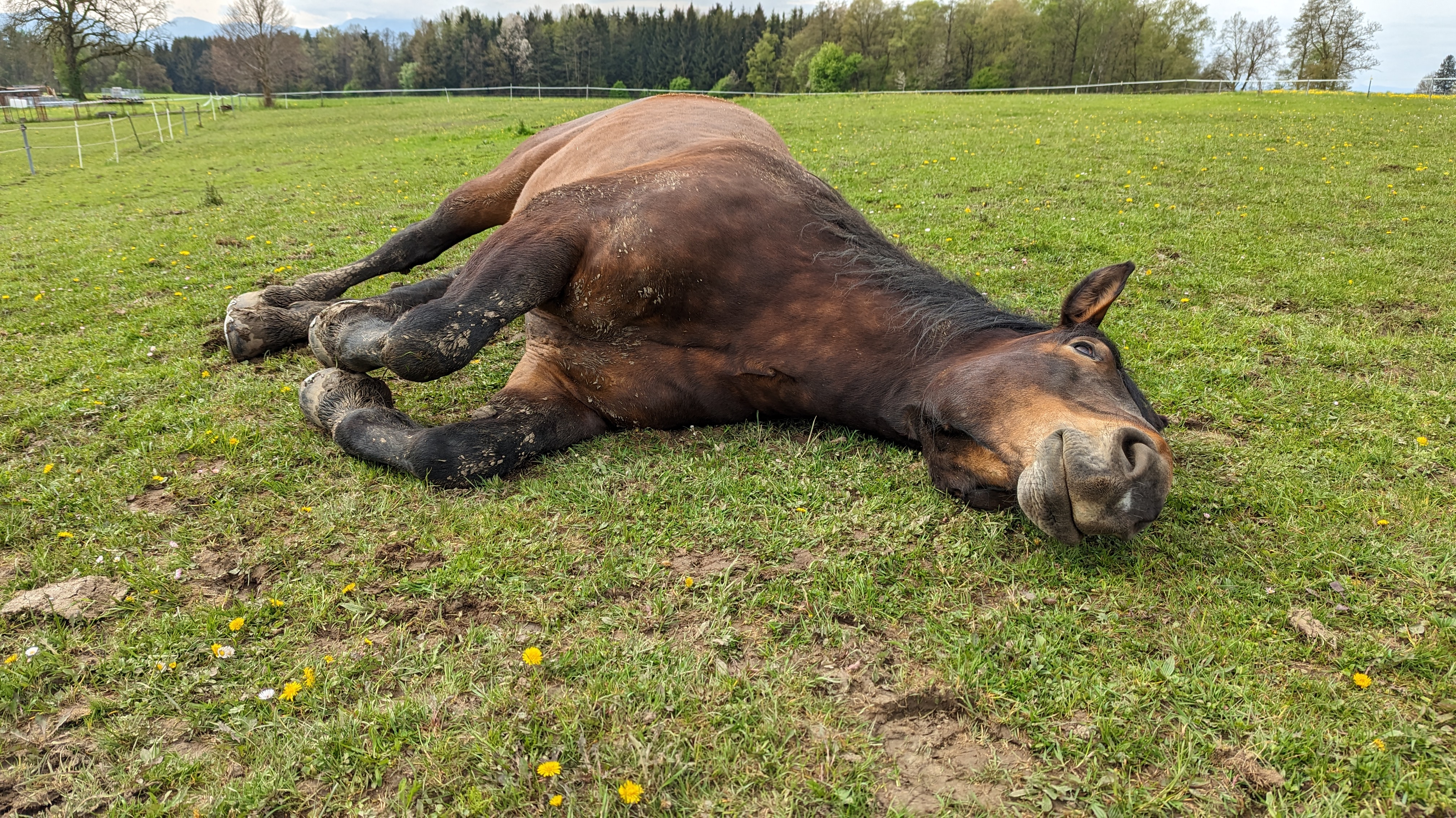 PXL_20230501_082908616