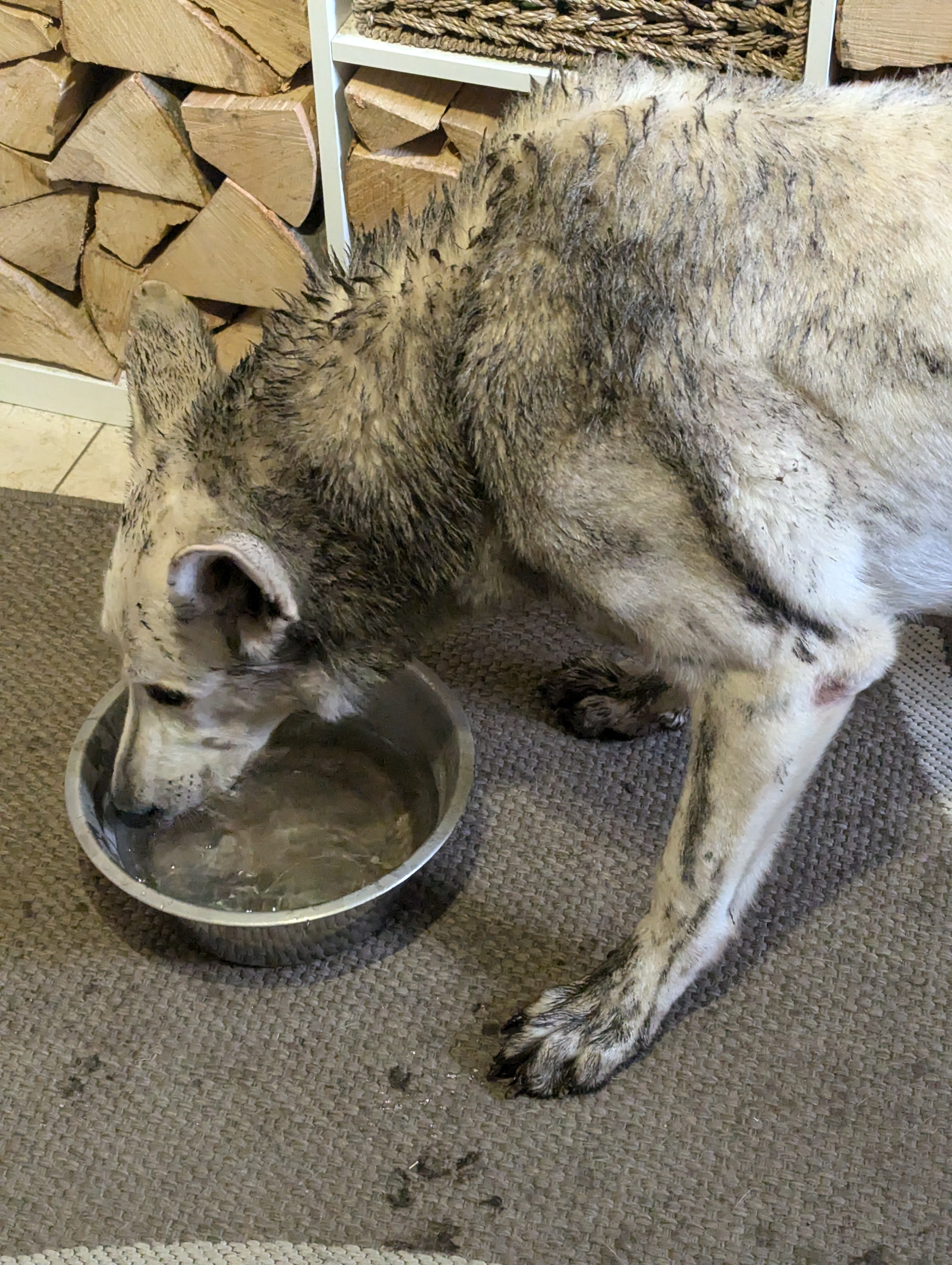 PXL_20241004_140631234