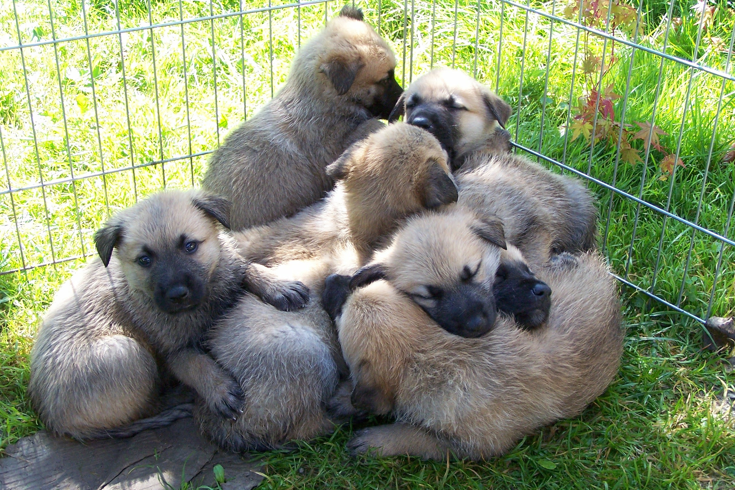 b9689da3b5d981de6c480288d450a3d3