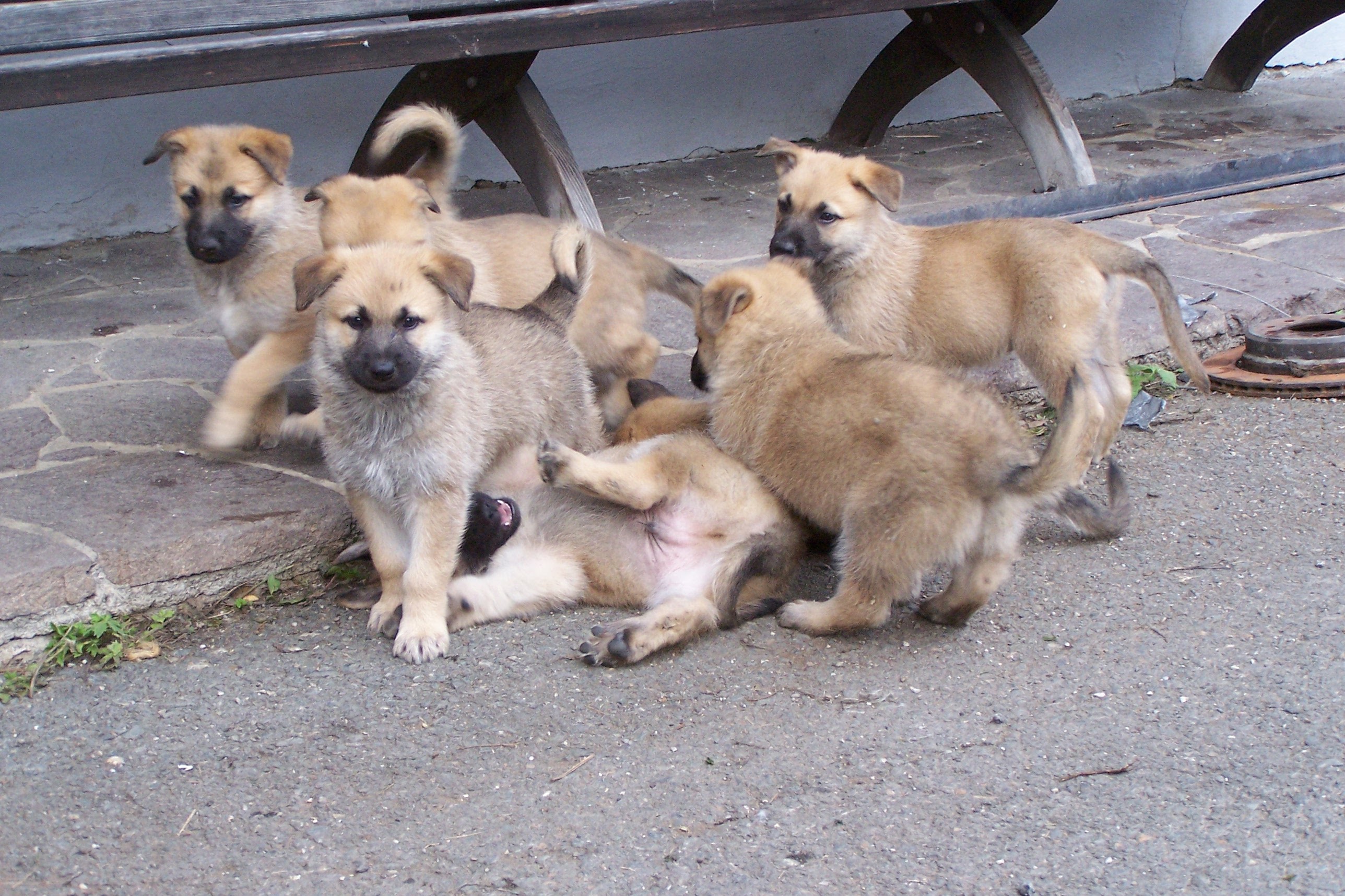 d27da4c38aa14bc68f122f7465878b69